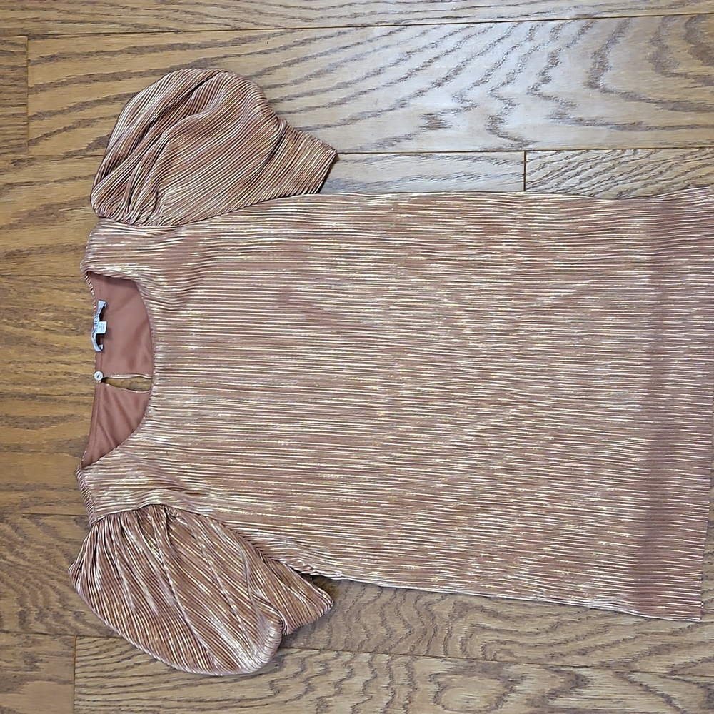 Anthroplogie See And Be Seen Pleated Copper Metallic Top Sz Small